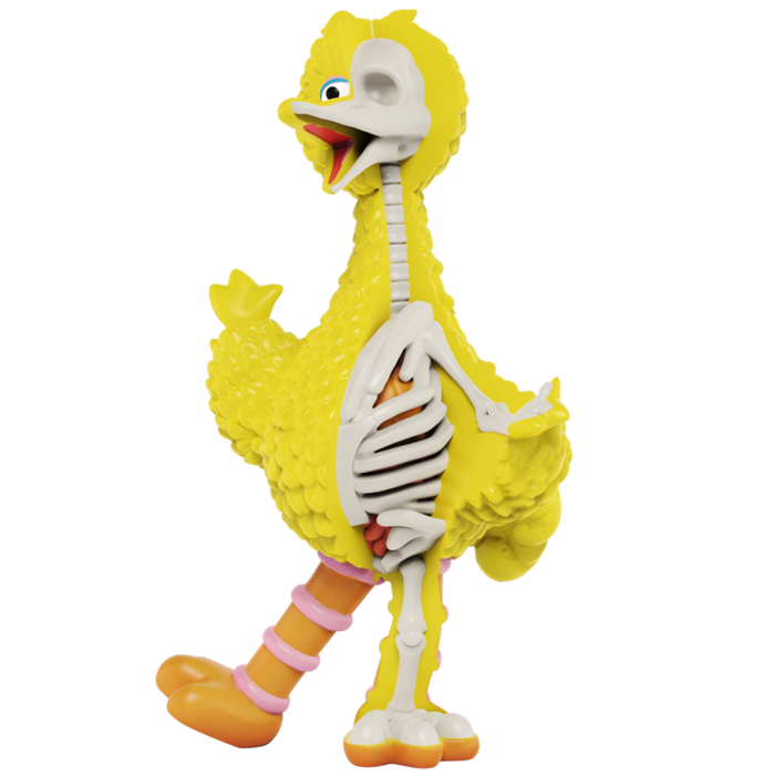 XXRAY PLUS: Sesame Street Big Bird